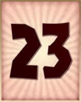 23